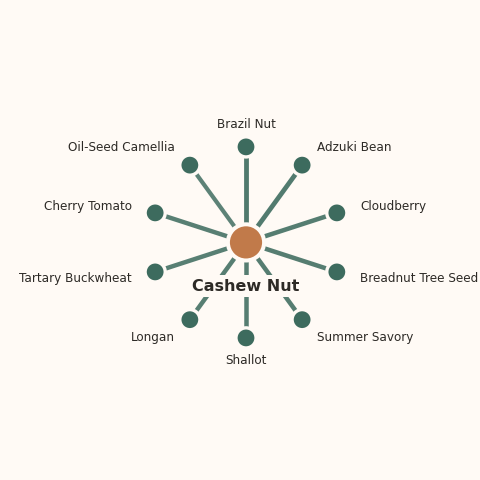 Molecular neighborhood diagram of cashew nut — top 10 ingredients ranked by shared volatile compounds