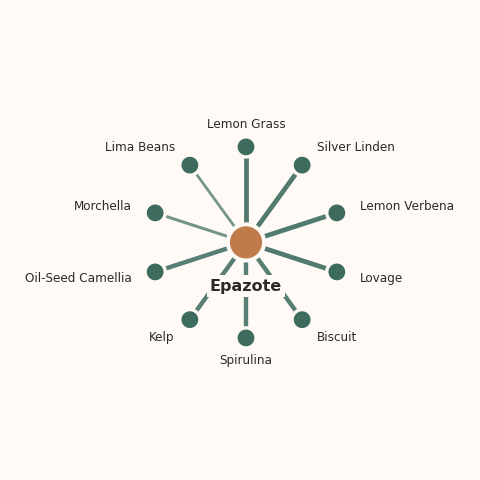 Molecular neighborhood diagram of epazote — top 10 ingredients ranked by shared volatile compounds