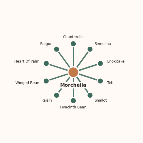 Molecular neighborhood diagram of morchella — top 10 ingredients ranked by shared volatile compounds