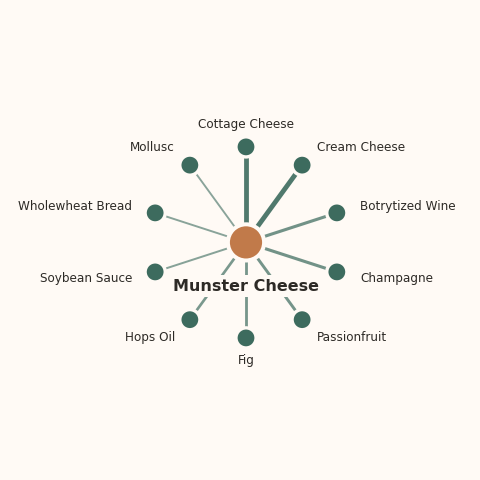 Molecular neighborhood diagram of munster cheese — top 10 ingredients ranked by shared volatile compounds