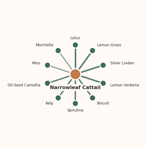Molecular neighborhood diagram of narrowleaf cattail — top 10 ingredients ranked by shared volatile compounds