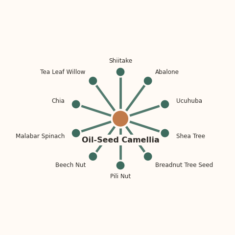 Molecular neighborhood diagram of oil-seed camellia — top 10 ingredients ranked by shared volatile compounds