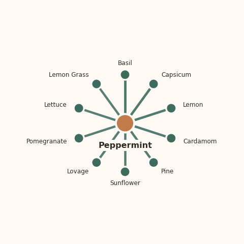 Molecular neighborhood diagram of peppermint — top 10 ingredients ranked by shared volatile compounds