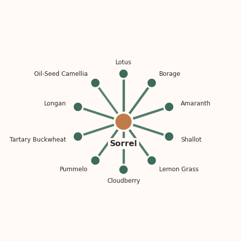 Molecular neighborhood diagram of sorrel — top 10 ingredients ranked by shared volatile compounds