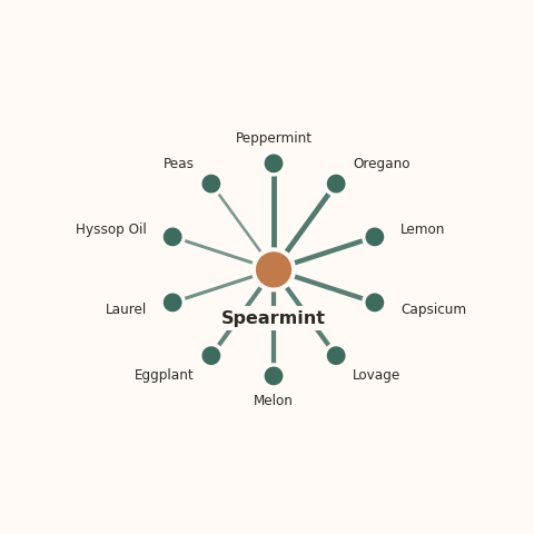 Molecular neighborhood diagram of spearmint — top 10 ingredients ranked by shared volatile compounds