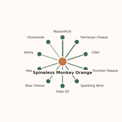Molecular neighborhood diagram of spineless monkey orange — top 10 ingredients ranked by shared volatile compounds