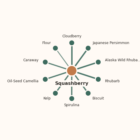 Molecular neighborhood diagram of squashberry — top 10 ingredients ranked by shared volatile compounds