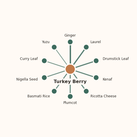 Molecular neighborhood diagram of turkey berry — top 10 ingredients ranked by shared volatile compounds